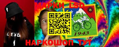 дмт Шебекино