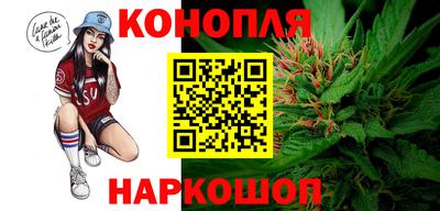 дмт Шебекино
