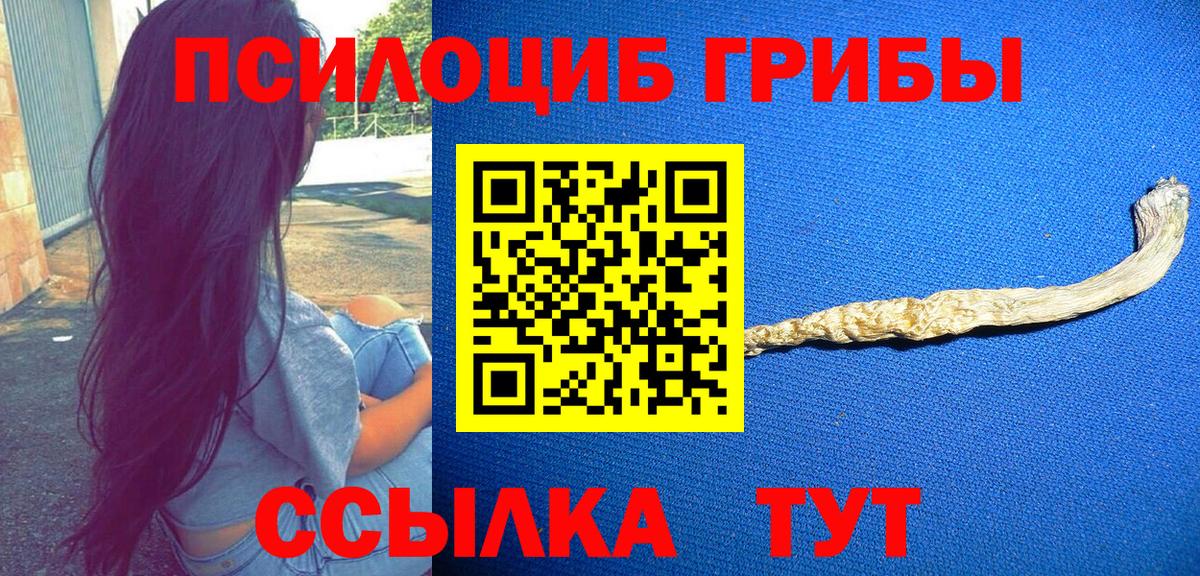 Северобайкальск  Псилоцибиновые грибы Cubensis  Вход с VPN  Галлюциногенные грибы ЛСД 