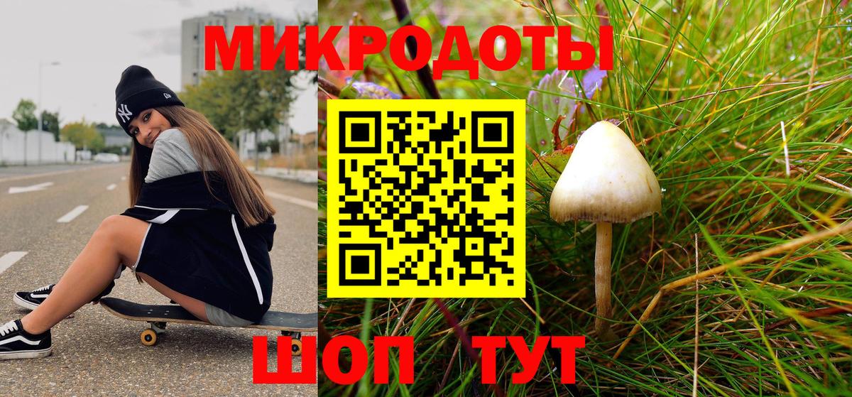 Псилоцибиновые грибы Cubensis Северобайкальск